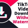 ssstiktok 2022:TikTok video download without watermark APK