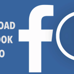 facebook video downloader online